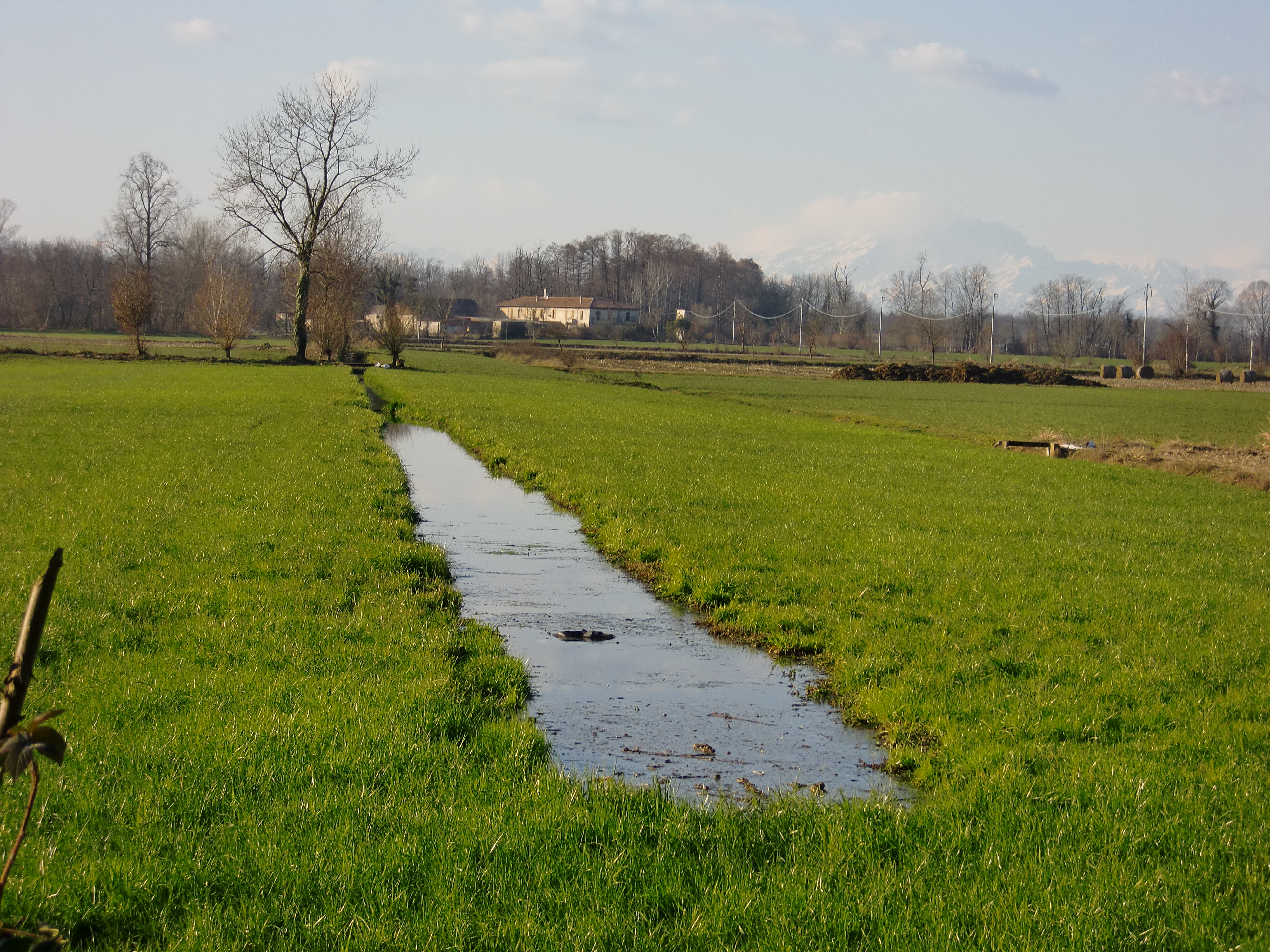 Il LifeTicinoBiosource E L’agricoltura: Un Bando Per Gli Agricoltori Per Salvare Le Marcite