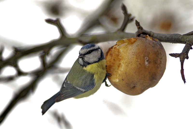 Biosource = Natura  + Sociale